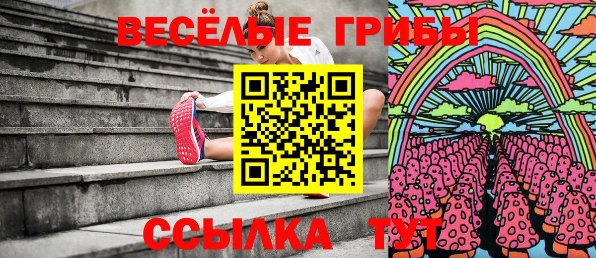 Псилоцибиновые грибы ЛСД  Вход с VPN  Ессентуки 