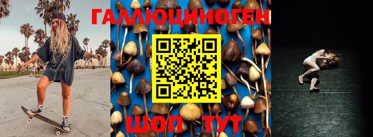 Галлюциногенные грибы мицелий Ессентуки