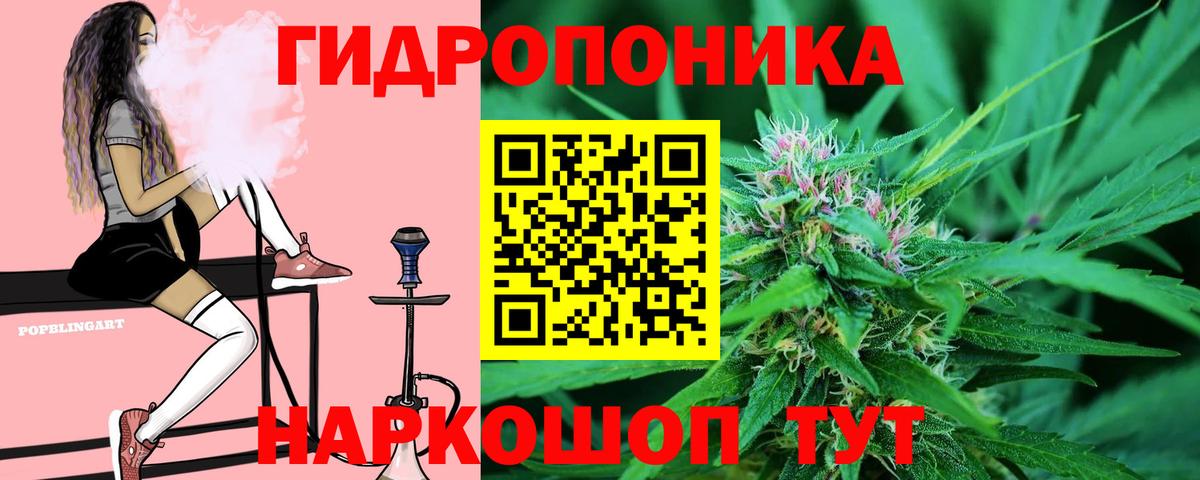 Ессентуки  Бошки Шишки план  МАРИХУАНА Amnesia  Марихуана план  Бошки Шишки SATIVA & INDICA  Вход с VPN 
